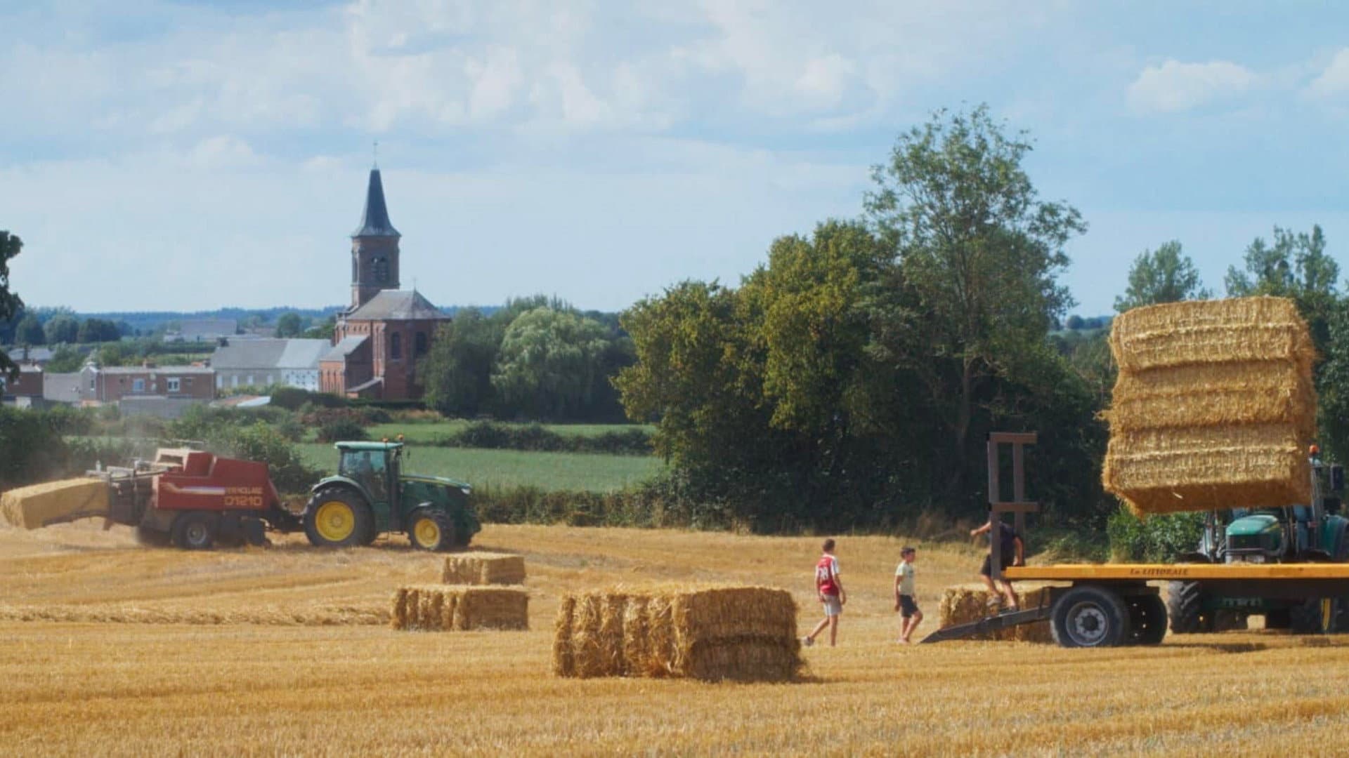 Un été à la ferme - L'âge d'or backdrop