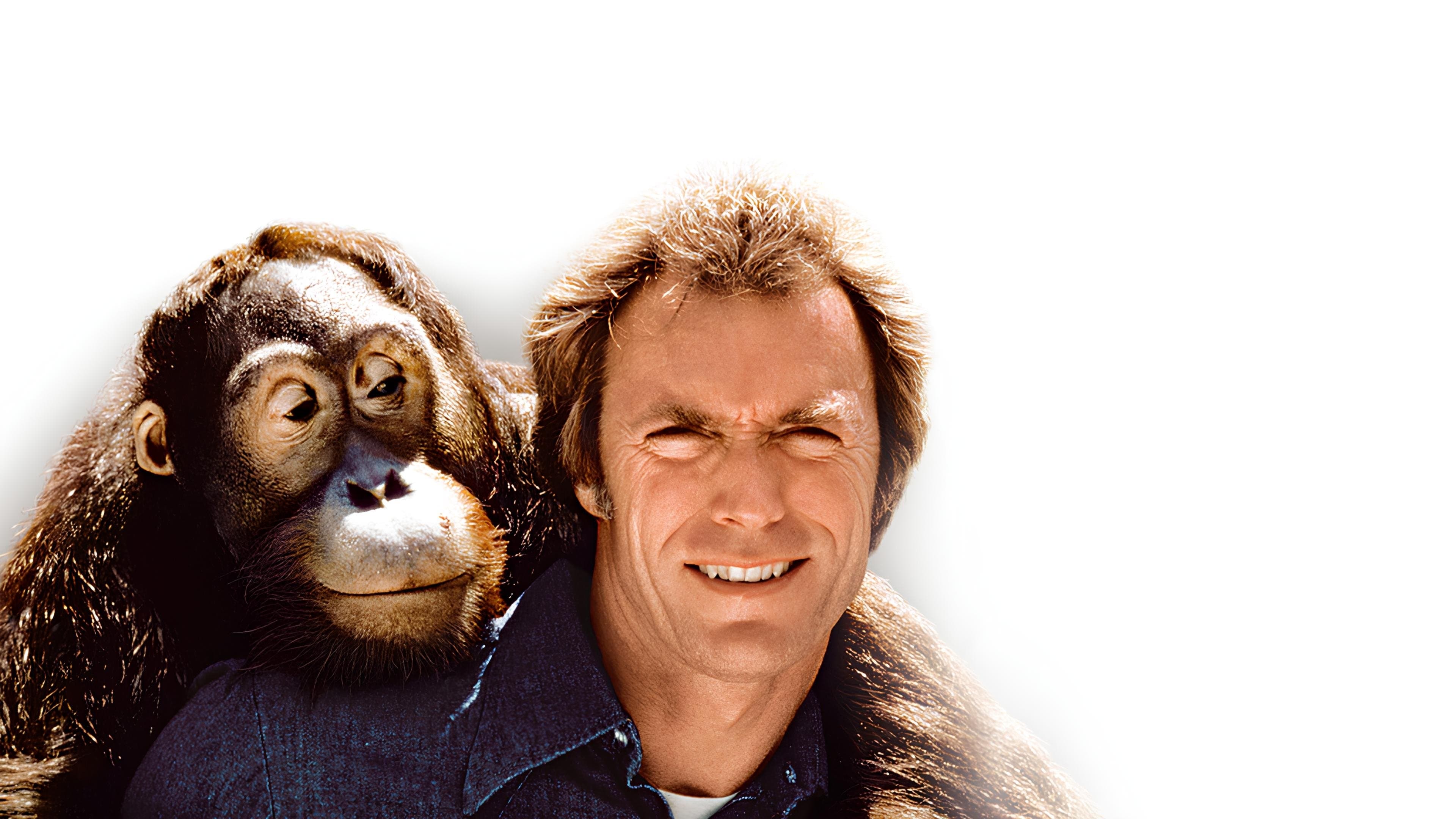 Any Which Way You Can backdrop