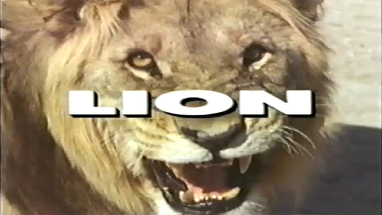 Predators of the Wild: Lion backdrop