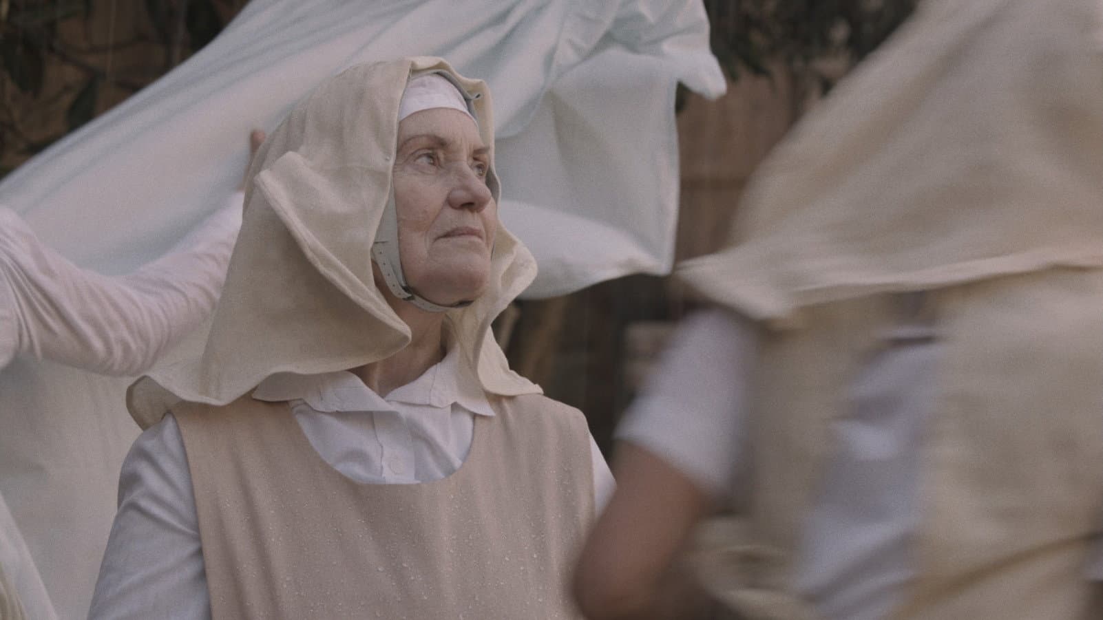 Daucus Carota backdrop