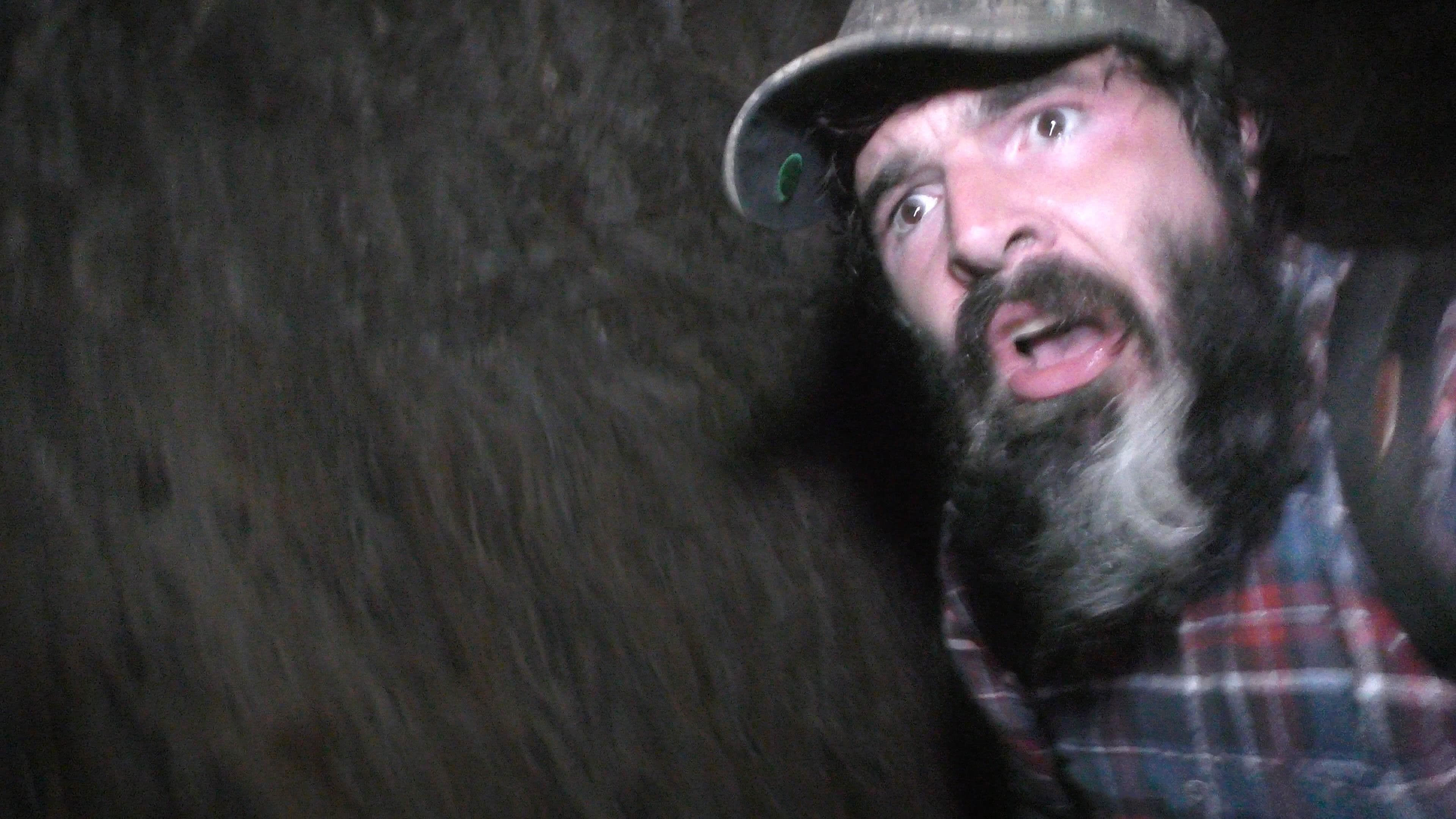 Wilderness Tapes: Volume One backdrop
