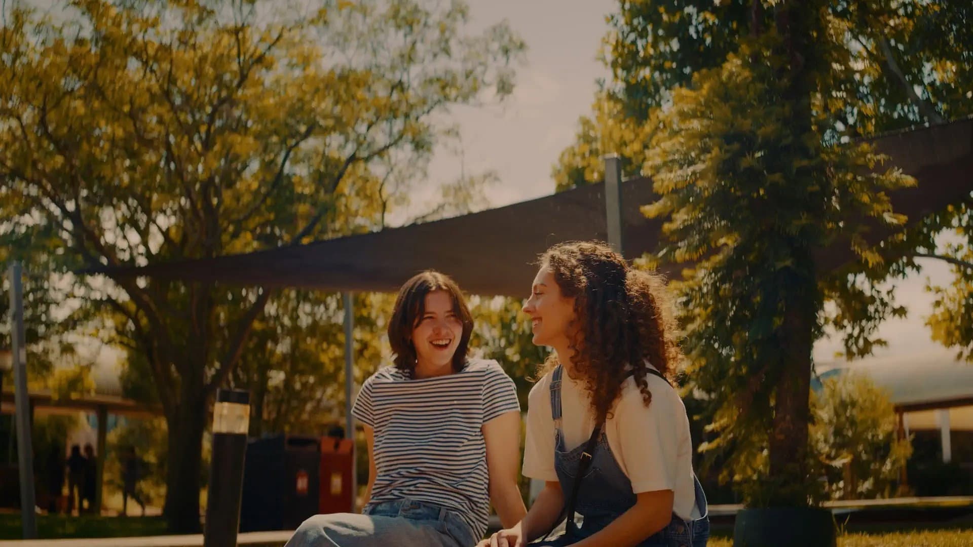 Preferences backdrop