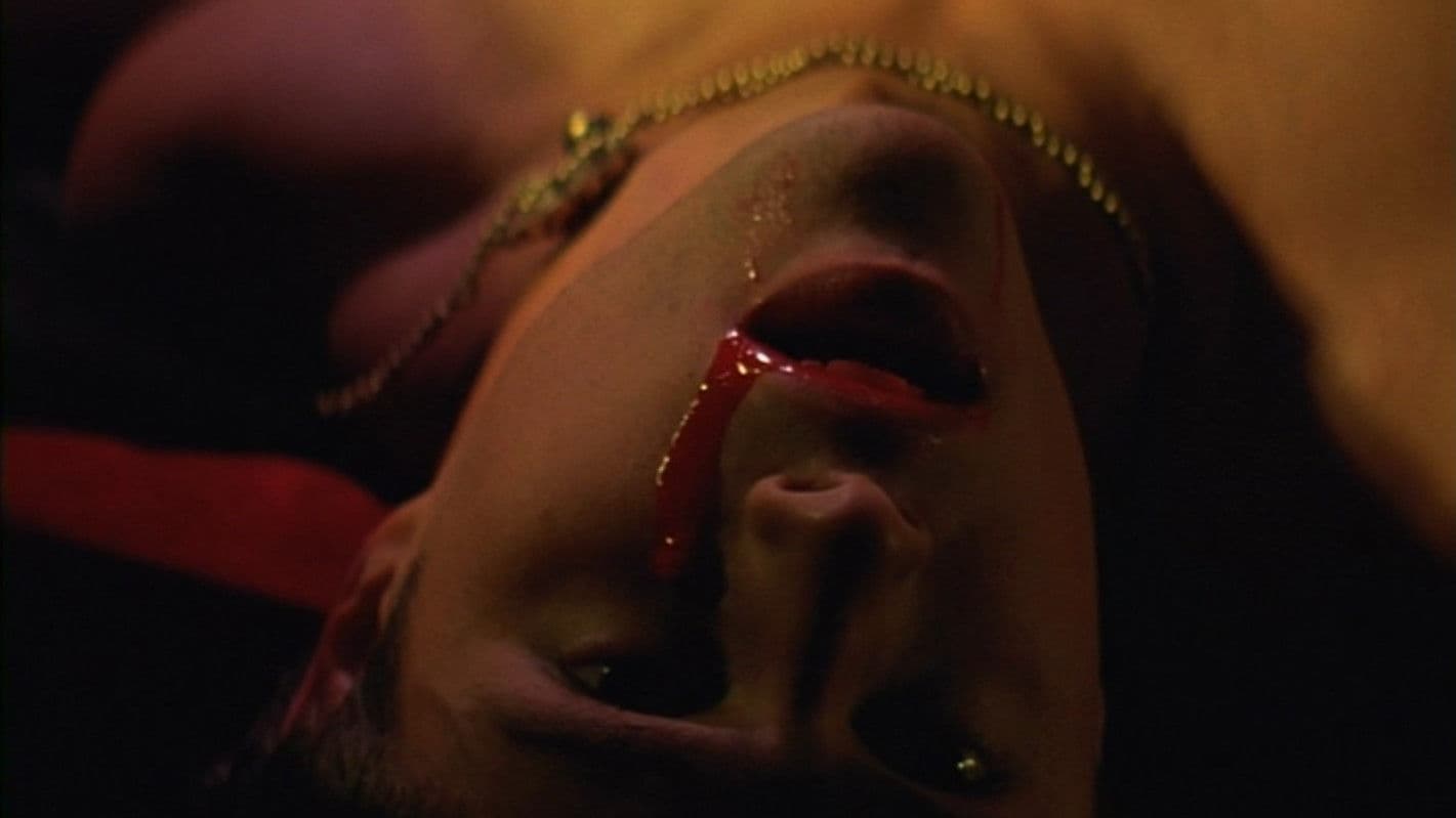 The Brotherhood backdrop