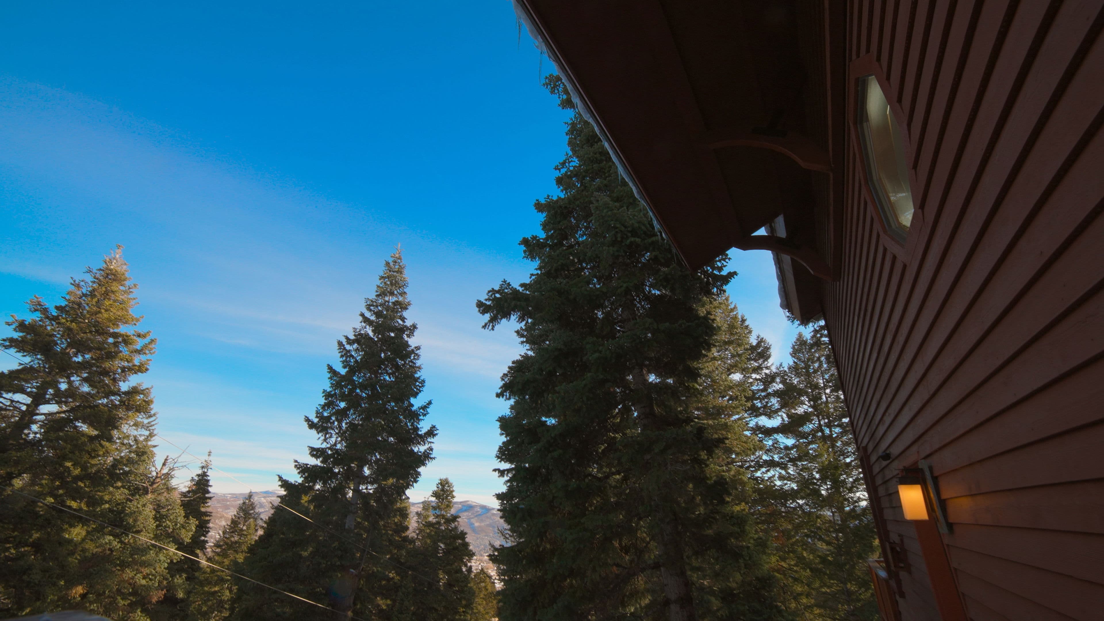 Donner Party 2 backdrop