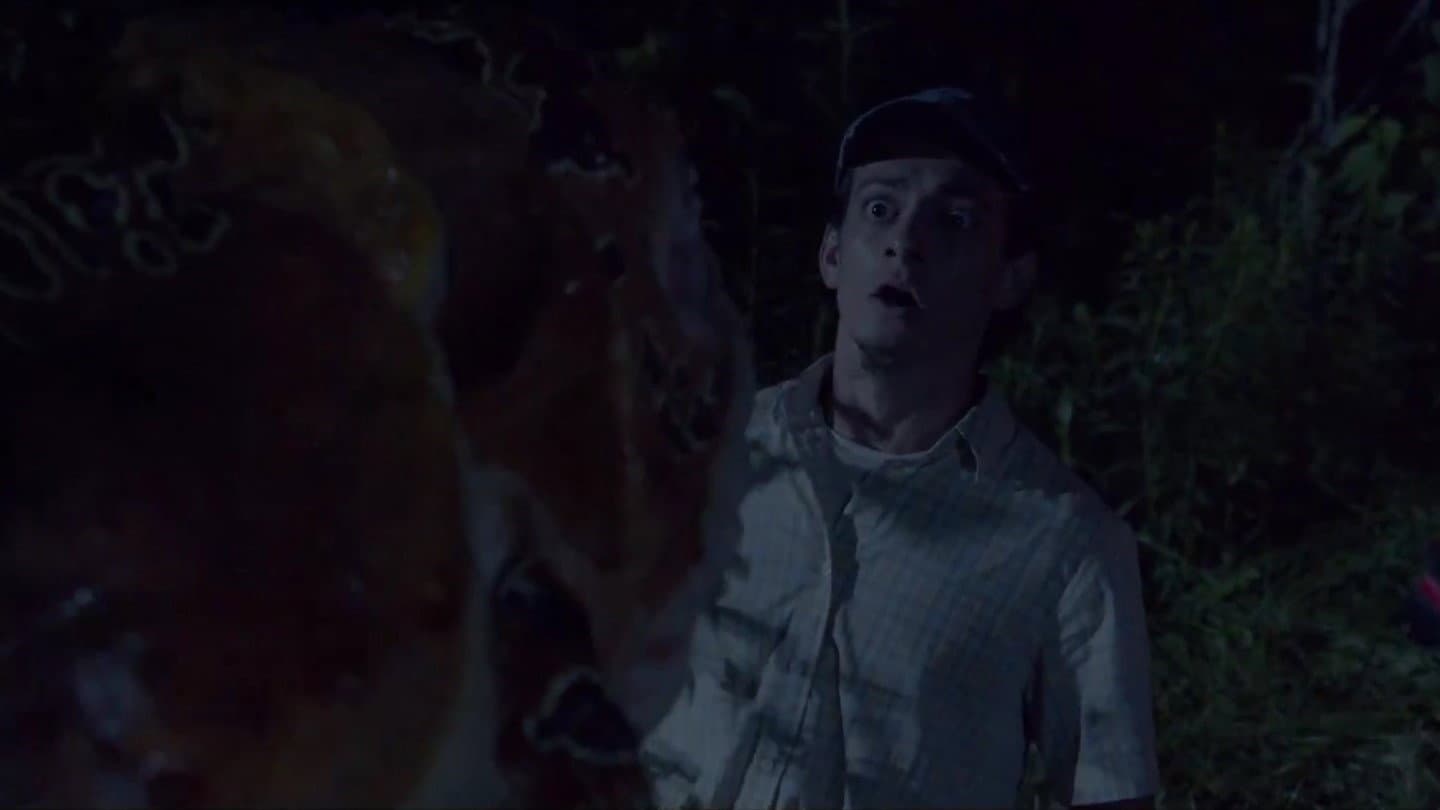 God of Frogs backdrop