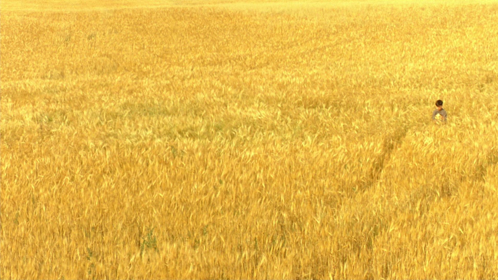 The Reflecting Skin backdrop