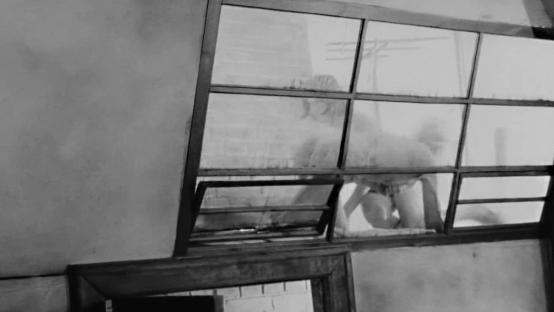 Identification Marks: None backdrop