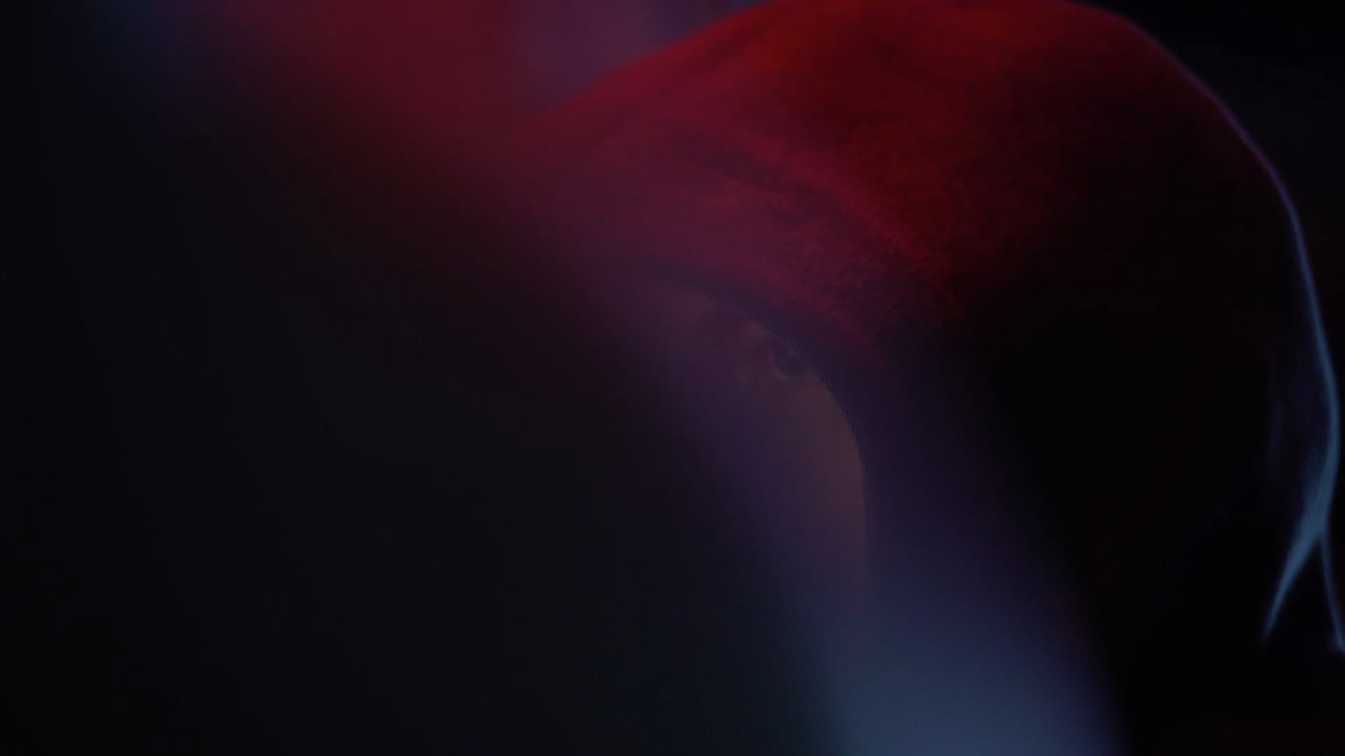 The Choice - The Risks of Web Democracy backdrop