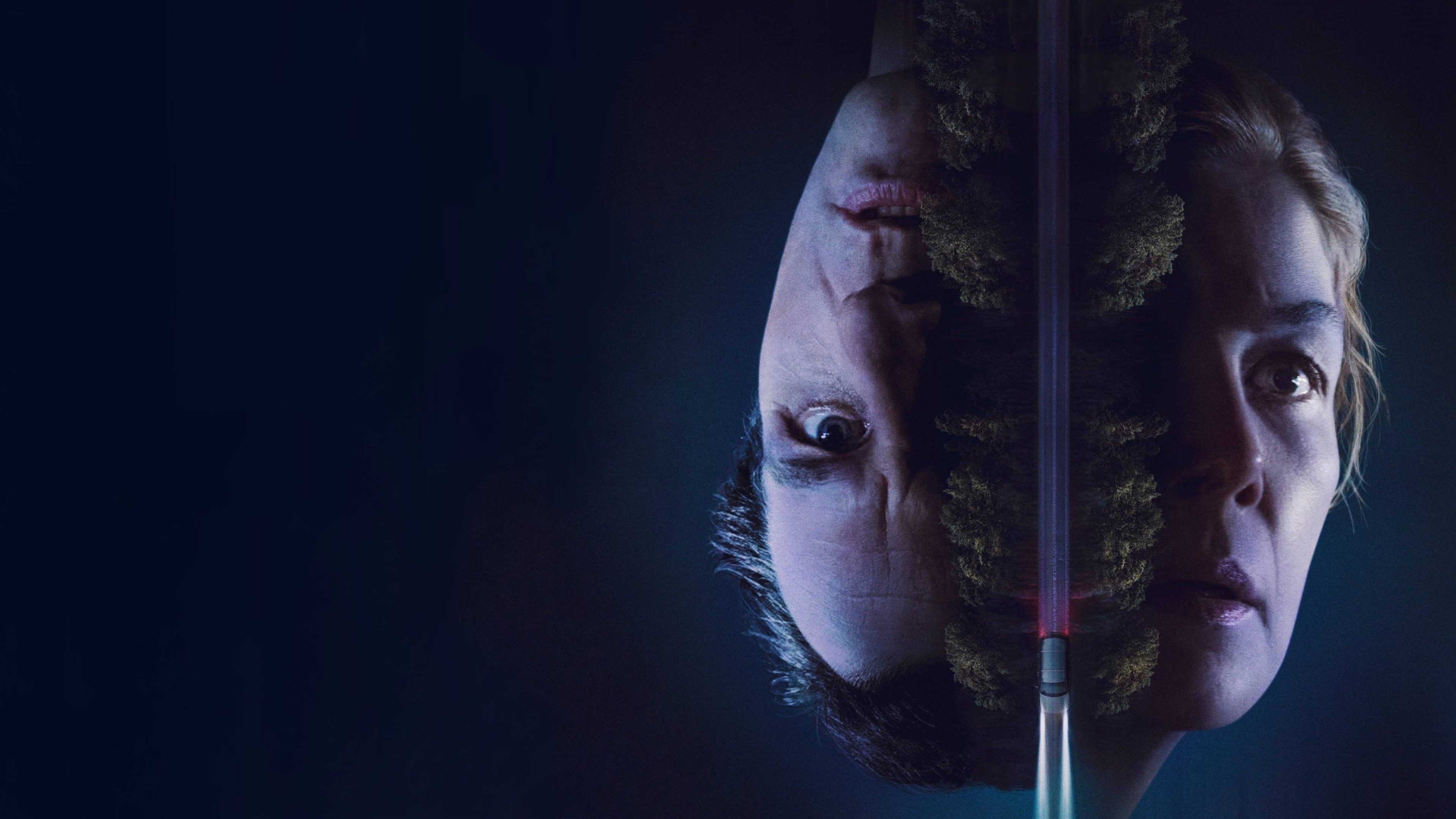 Hallow Road backdrop