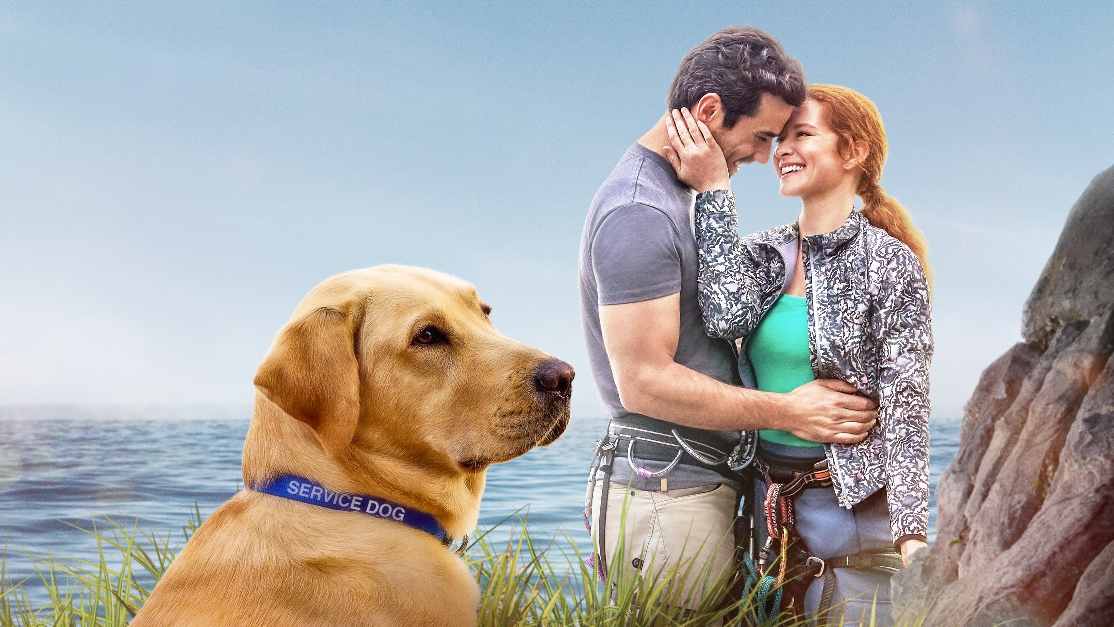 Guiding Emily backdrop