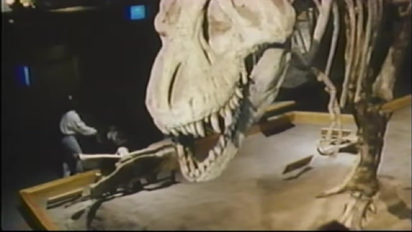 The Real Jurassic Park backdrop