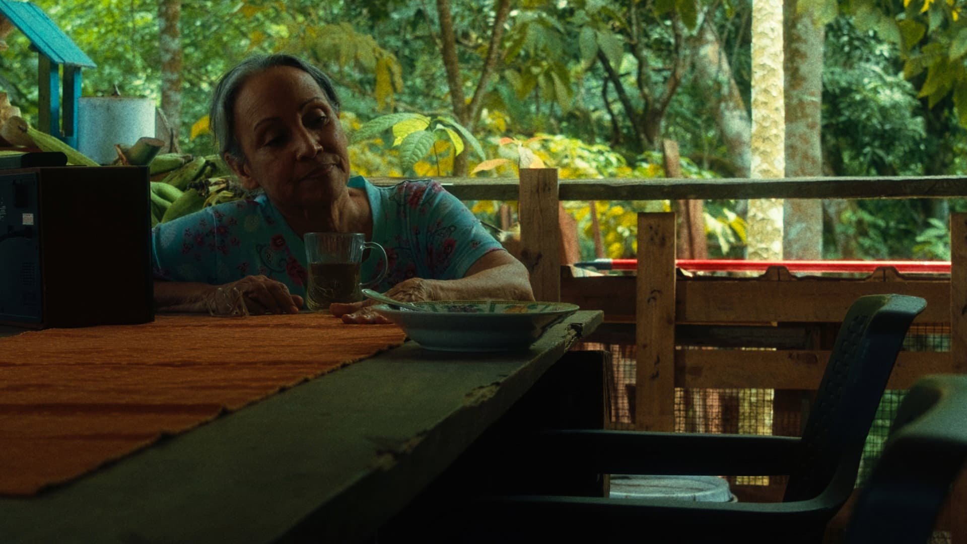 Como Cantan Las Aves backdrop