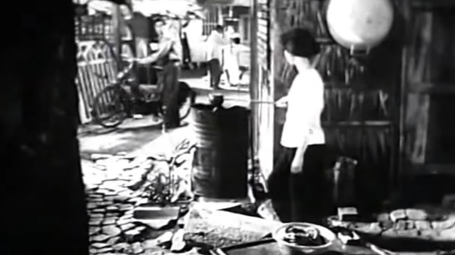 Nguyen Van Troi backdrop