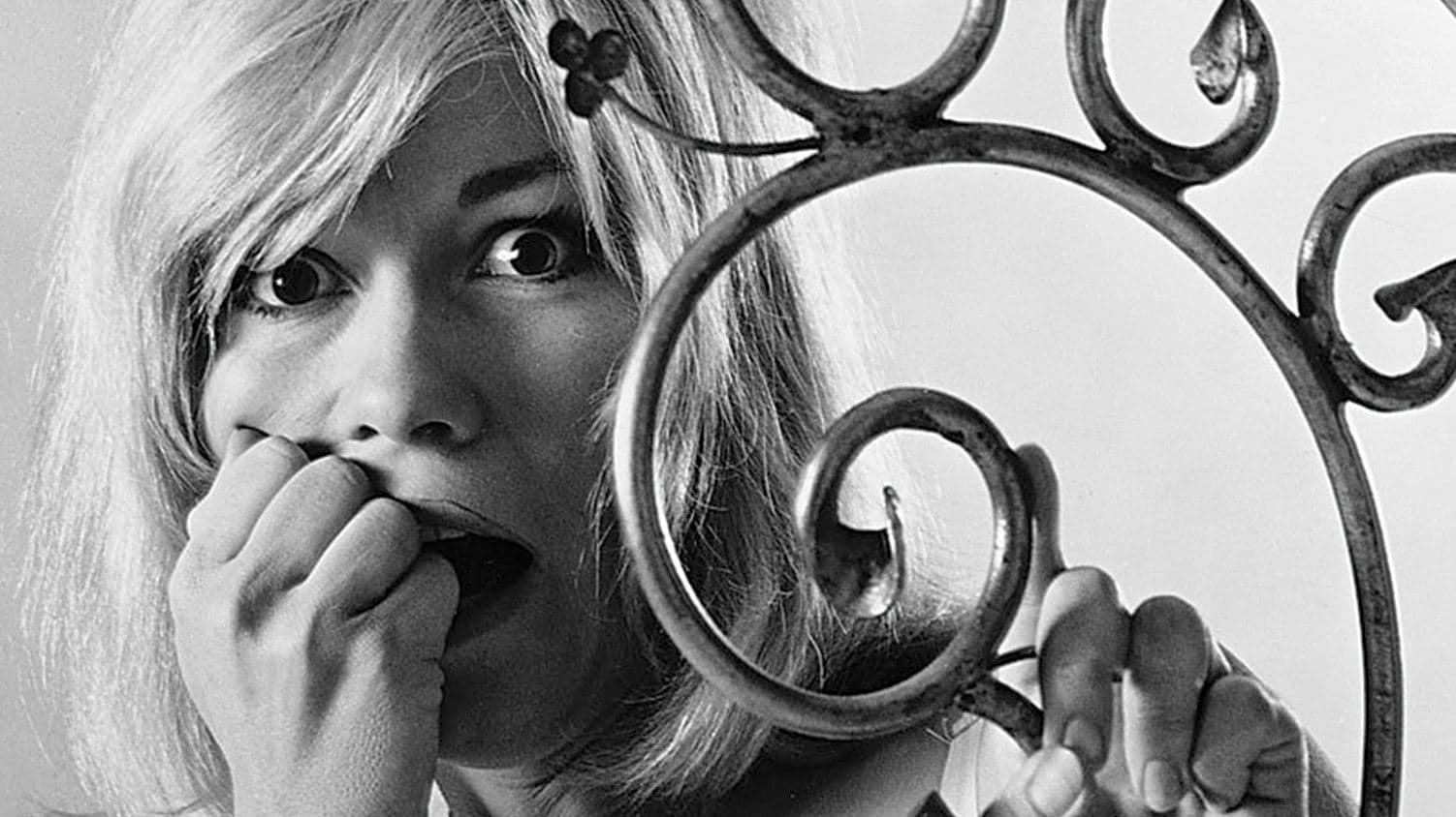 Dementia 13 backdrop