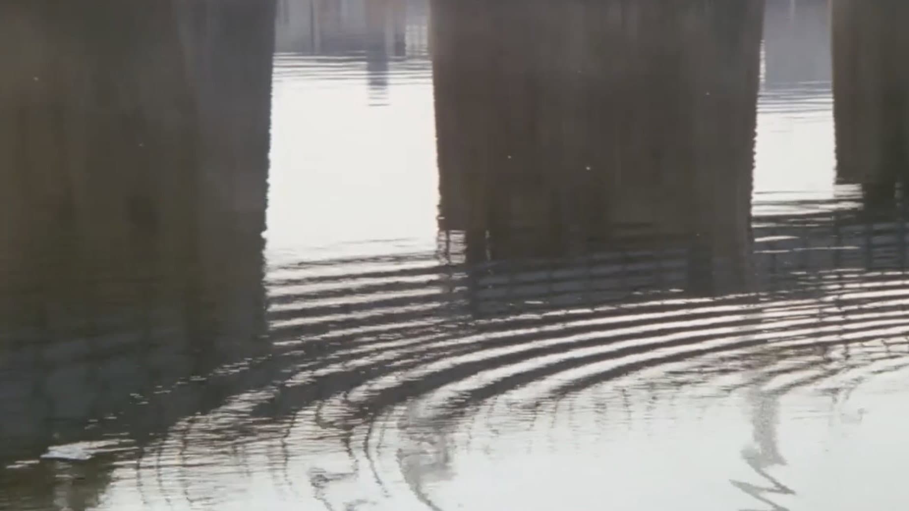 Ginza Neon District: A Woman's Climax backdrop