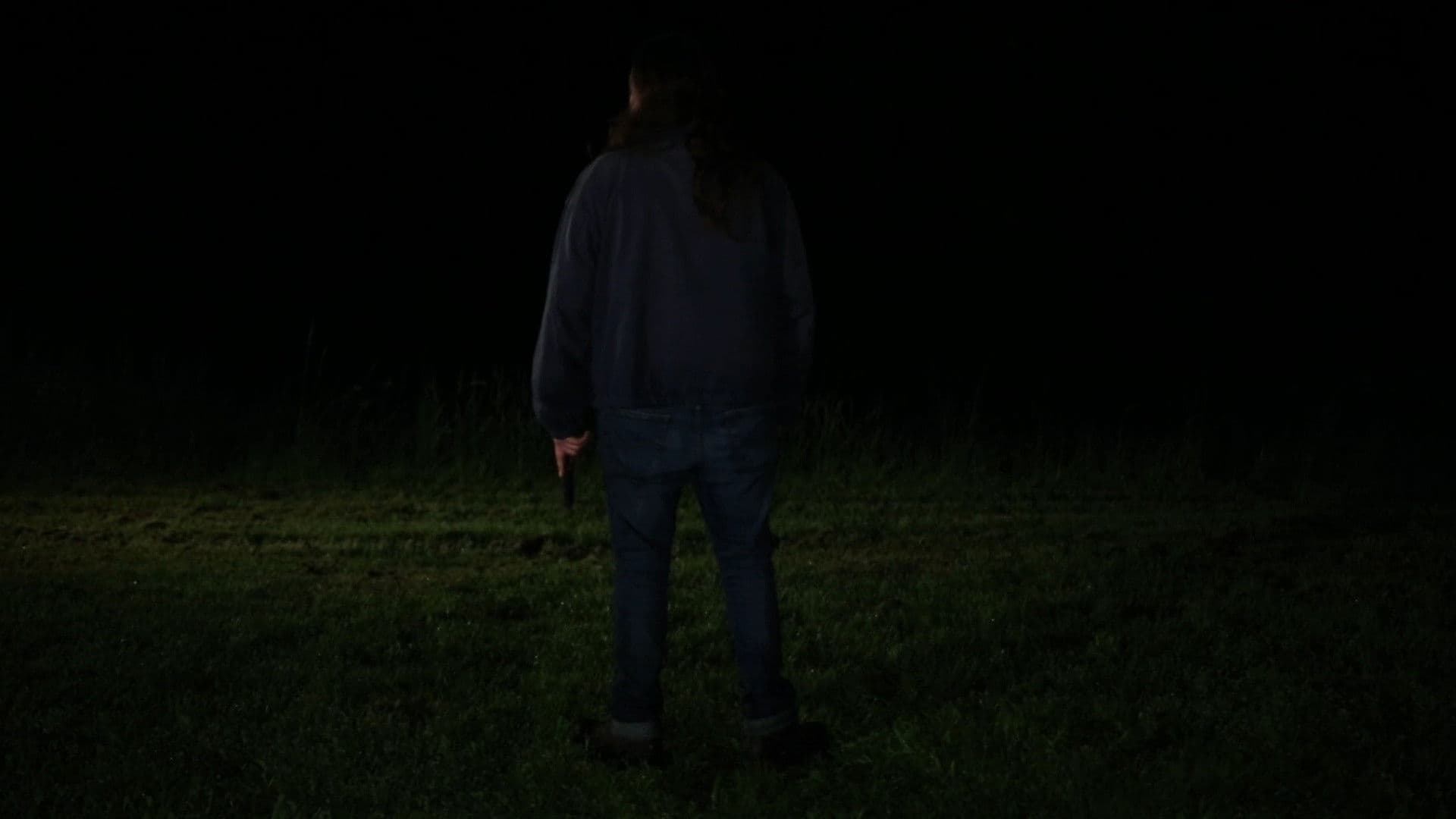 All That You Love Will Be Carried Away backdrop