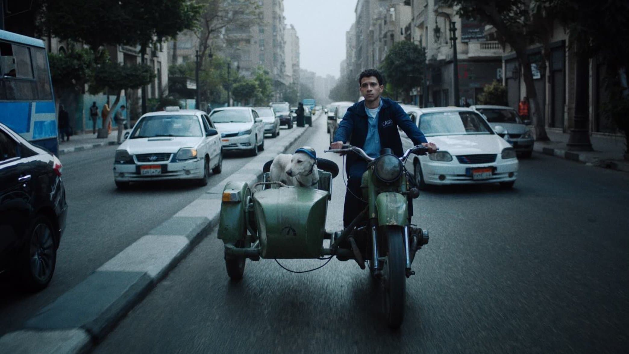 Seeking Haven for Mr. Rambo backdrop