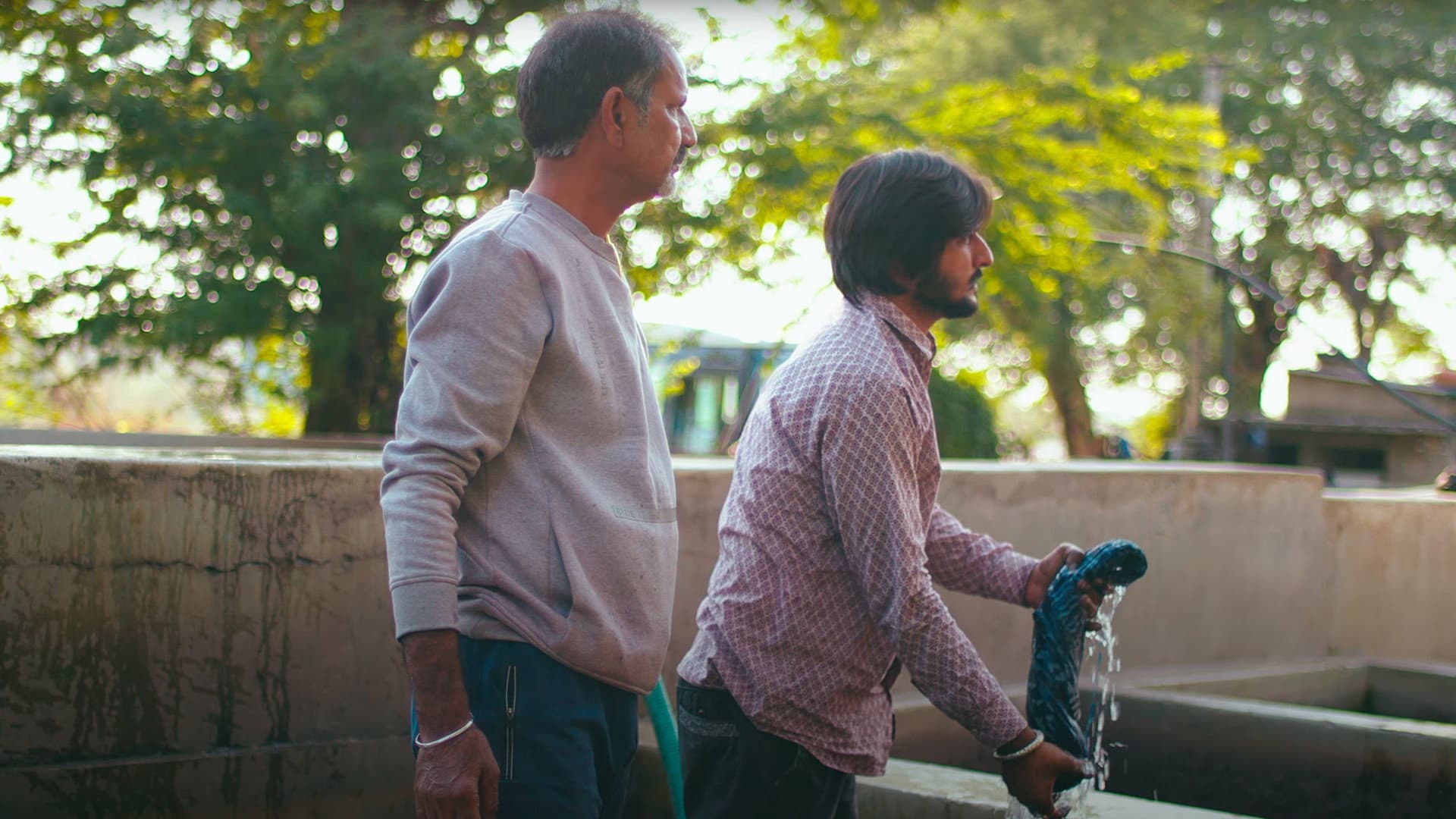 A Living Culture backdrop