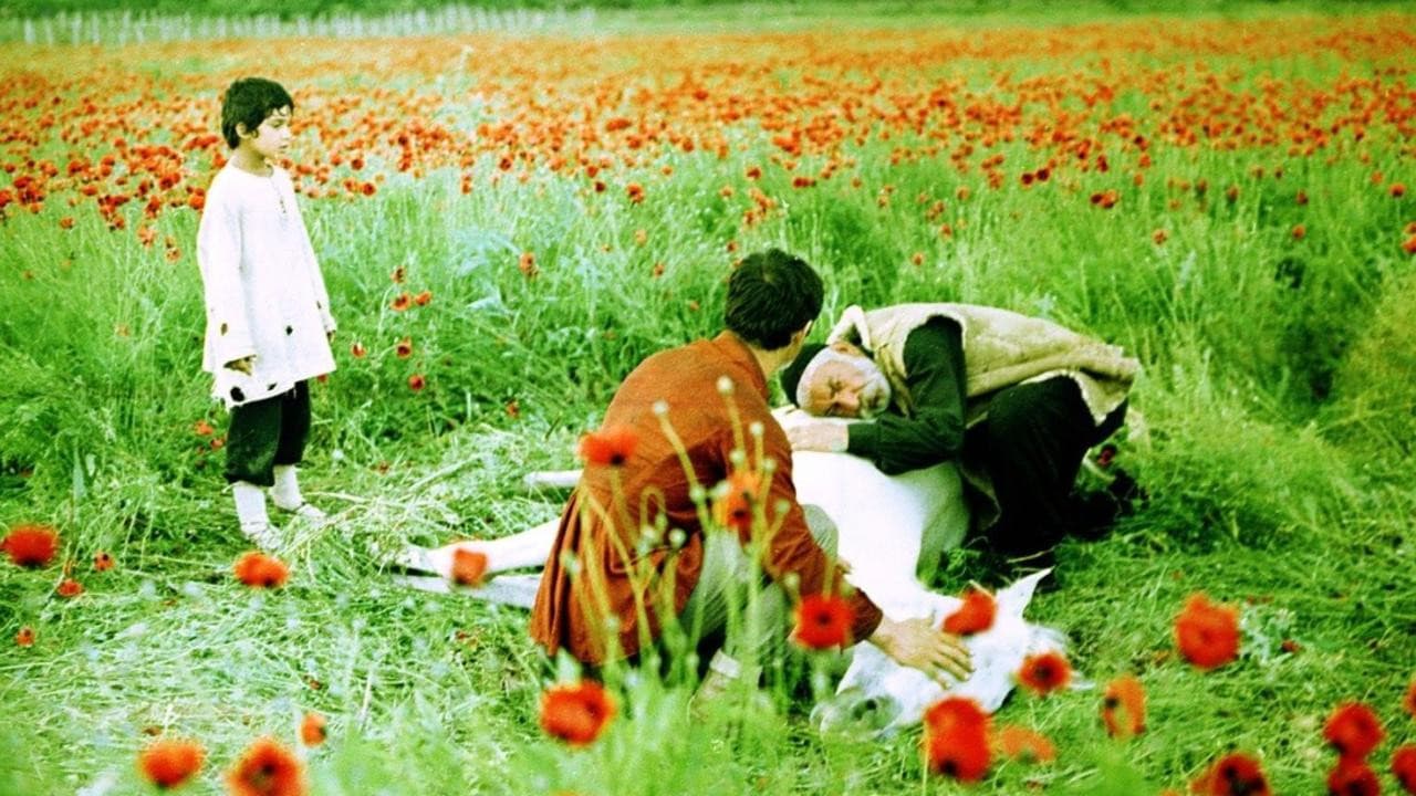 The Wishing Tree backdrop