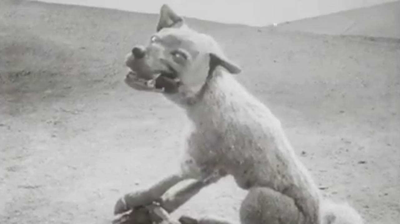 The Wolf and the Crane backdrop