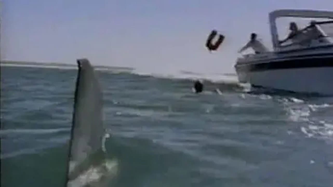 Shark's Paradise backdrop