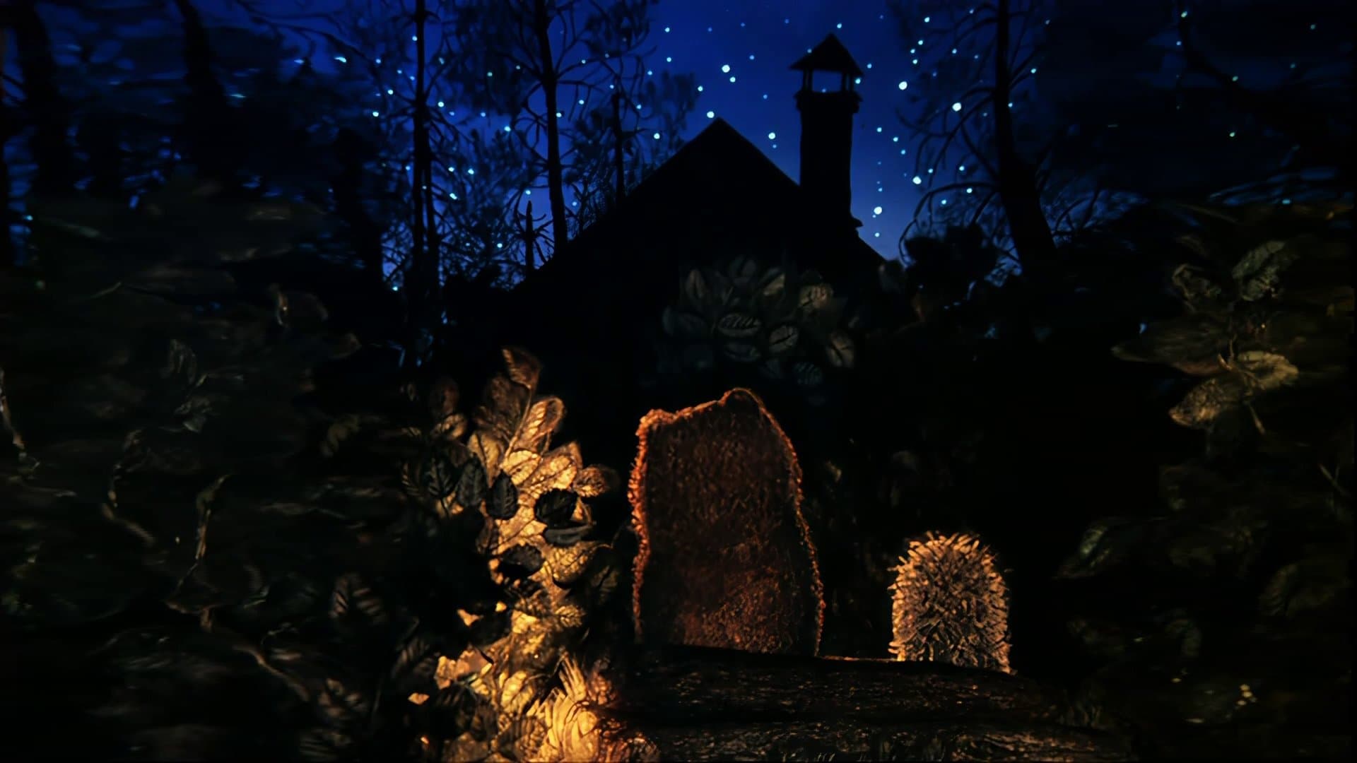 Hedgehog in the Fog backdrop