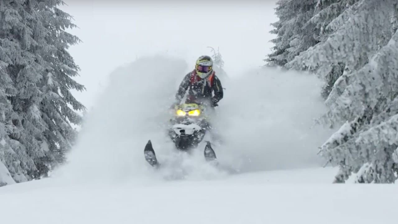 Exploring The Snow - The Final Volume backdrop