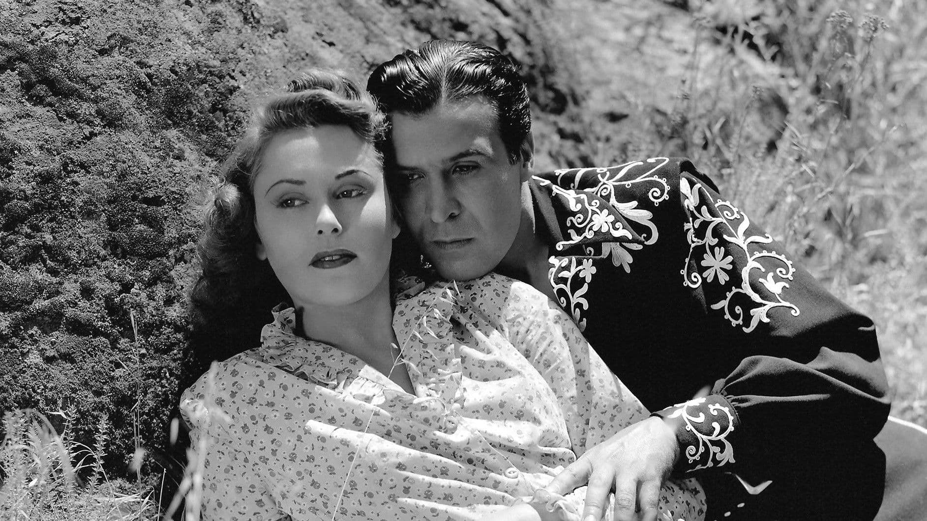 Zorro's Black Whip backdrop