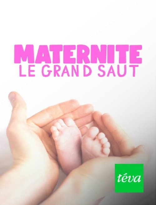Maternité : le grand saut poster