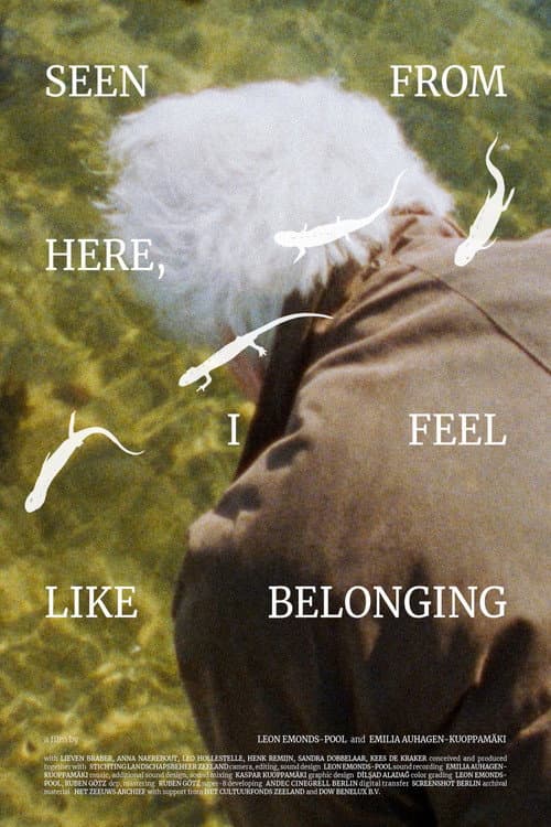 Seen From Here, I Feel Like Belonging poster