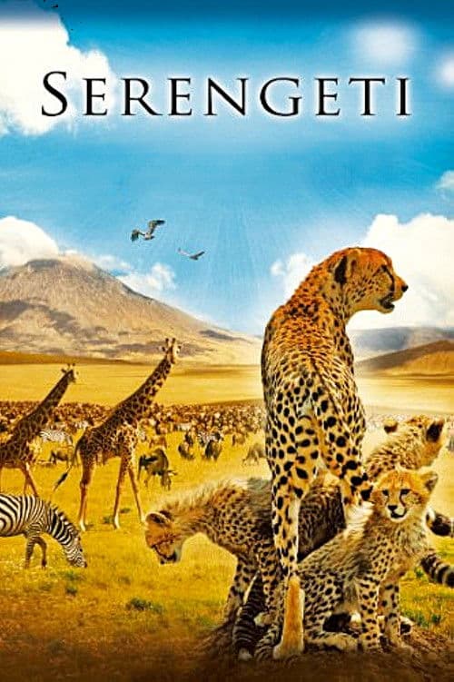 Serengeti poster