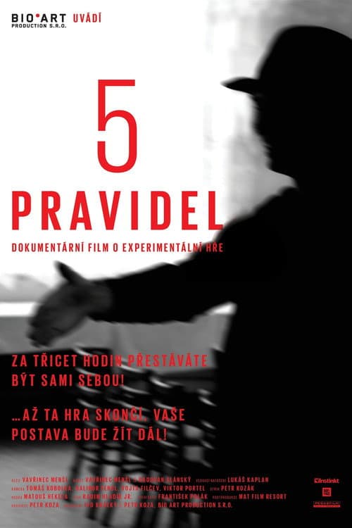 5 pravidel poster
