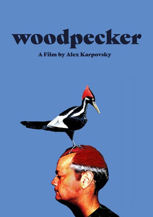 Woodpecker poster