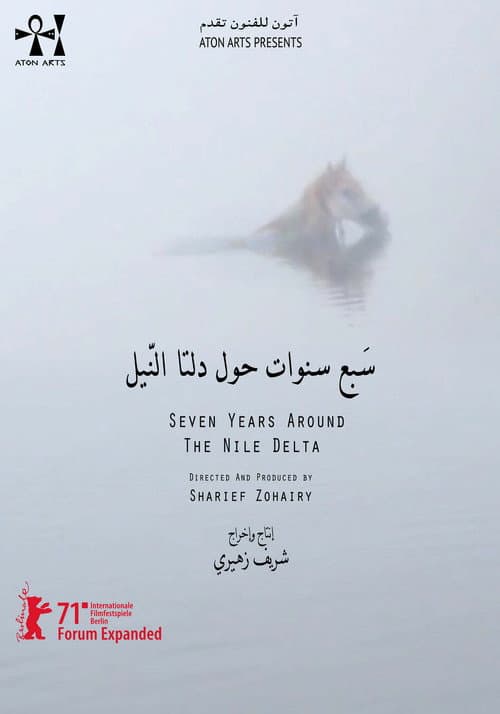 Seven Years Around the Nile Delta poster