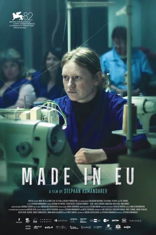 Made in EU poster
