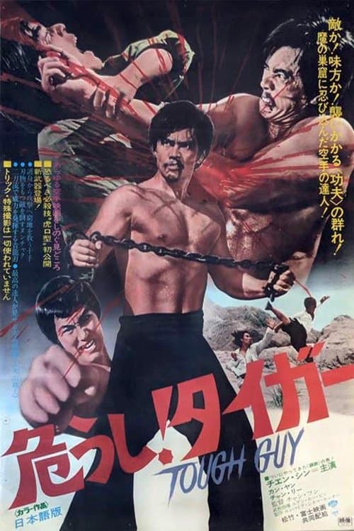Revenge of the Dragon poster
