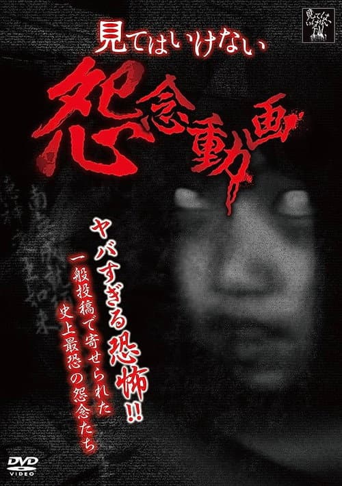 A Grudge Video That You Shouldn't Watch poster