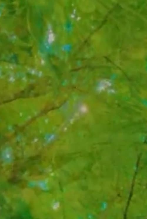 Epistemology: Floating Images and the Search for a Greater Enallage poster