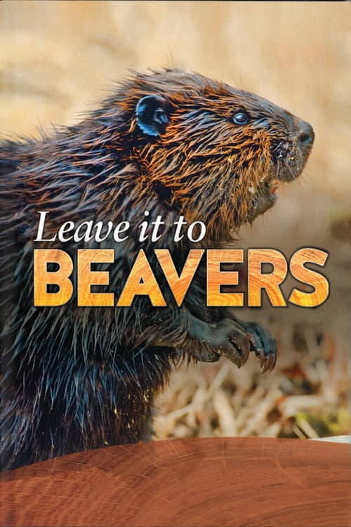 Leave it to Beavers poster
