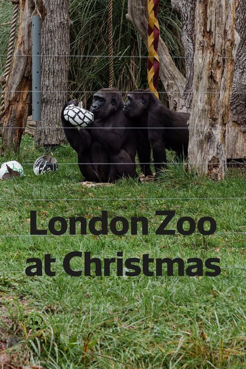 London Zoo at Christmas poster