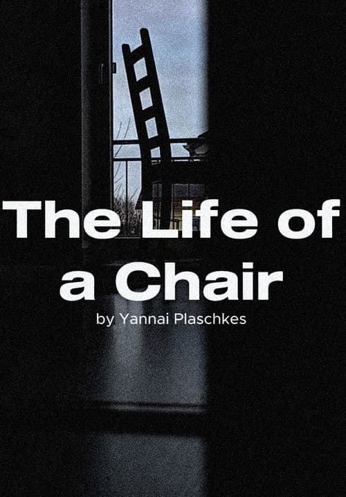 The Life of a Chair poster