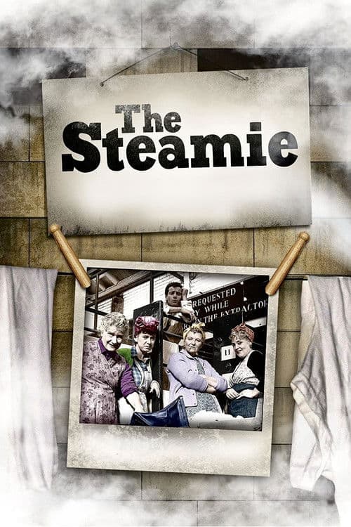 The Steamie poster