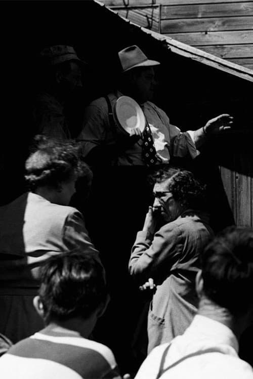 Country Auction poster