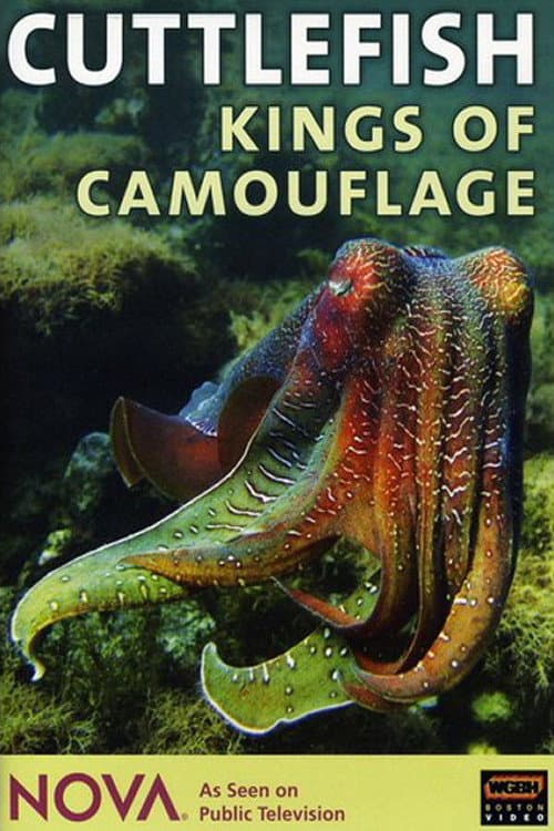 Cuttlefish: Kings of Camouflage poster