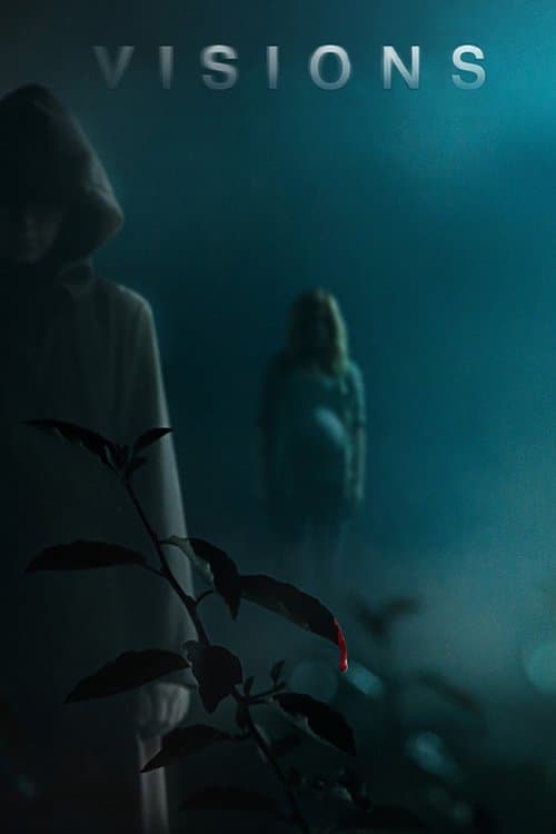 Visions poster