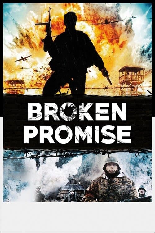 Broken Promise poster