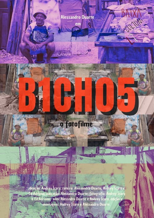B1CH05 poster