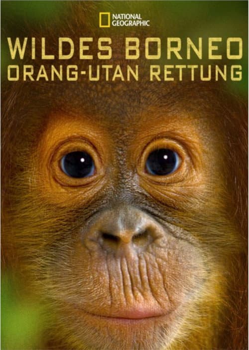 Orangutan Rescue - Back to The Wild poster