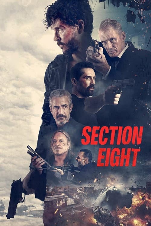 Section 8 poster