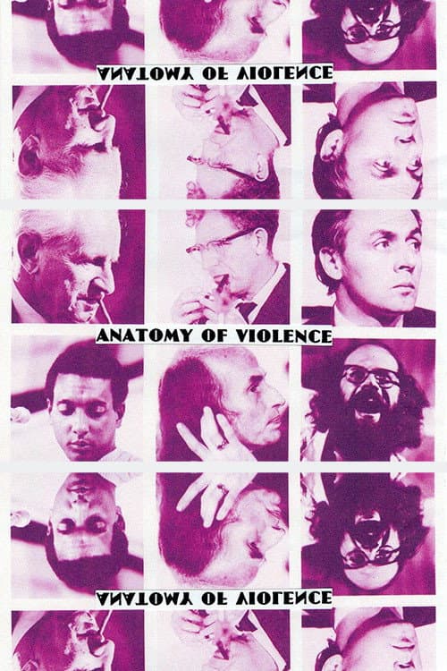 Anatomy of Violence poster